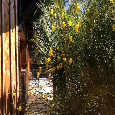 Pilotis Ferienhaus Lège-Cap-Ferret